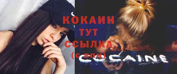 индика Белокуриха