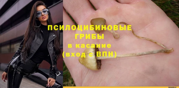 PSILOCYBIN Нефтекумск
