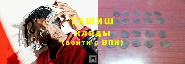 гашик Новодвинск