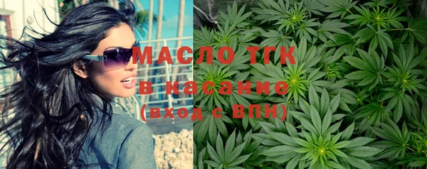 индика Белокуриха