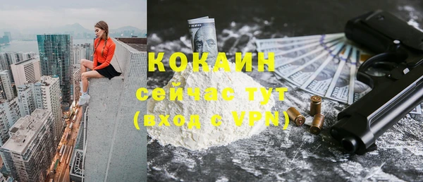 индика Новозыбков