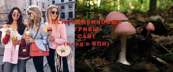 индика Белокуриха